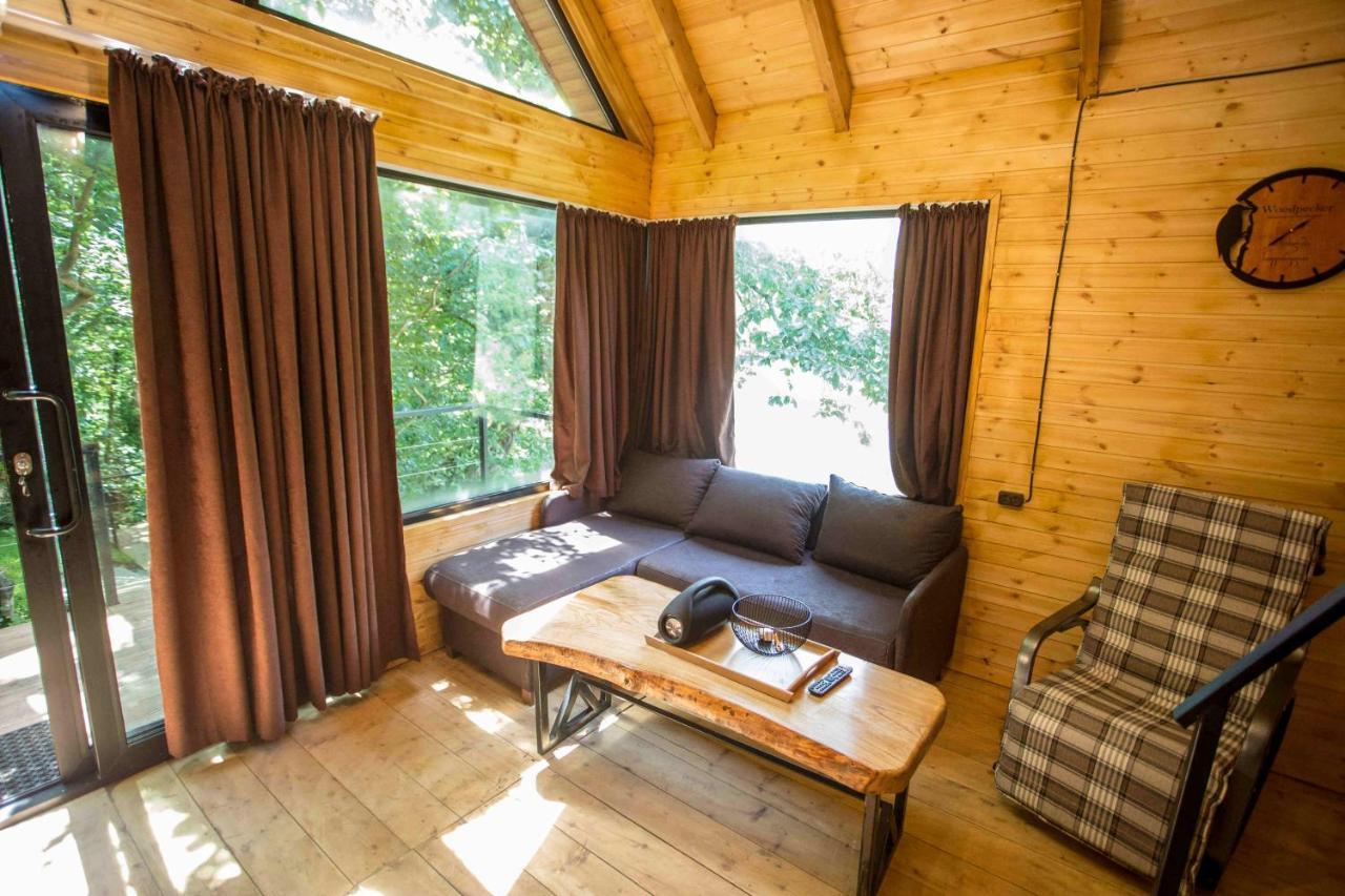 Villa Woodpecker Ვუდფექერი à Batoumi Extérieur photo