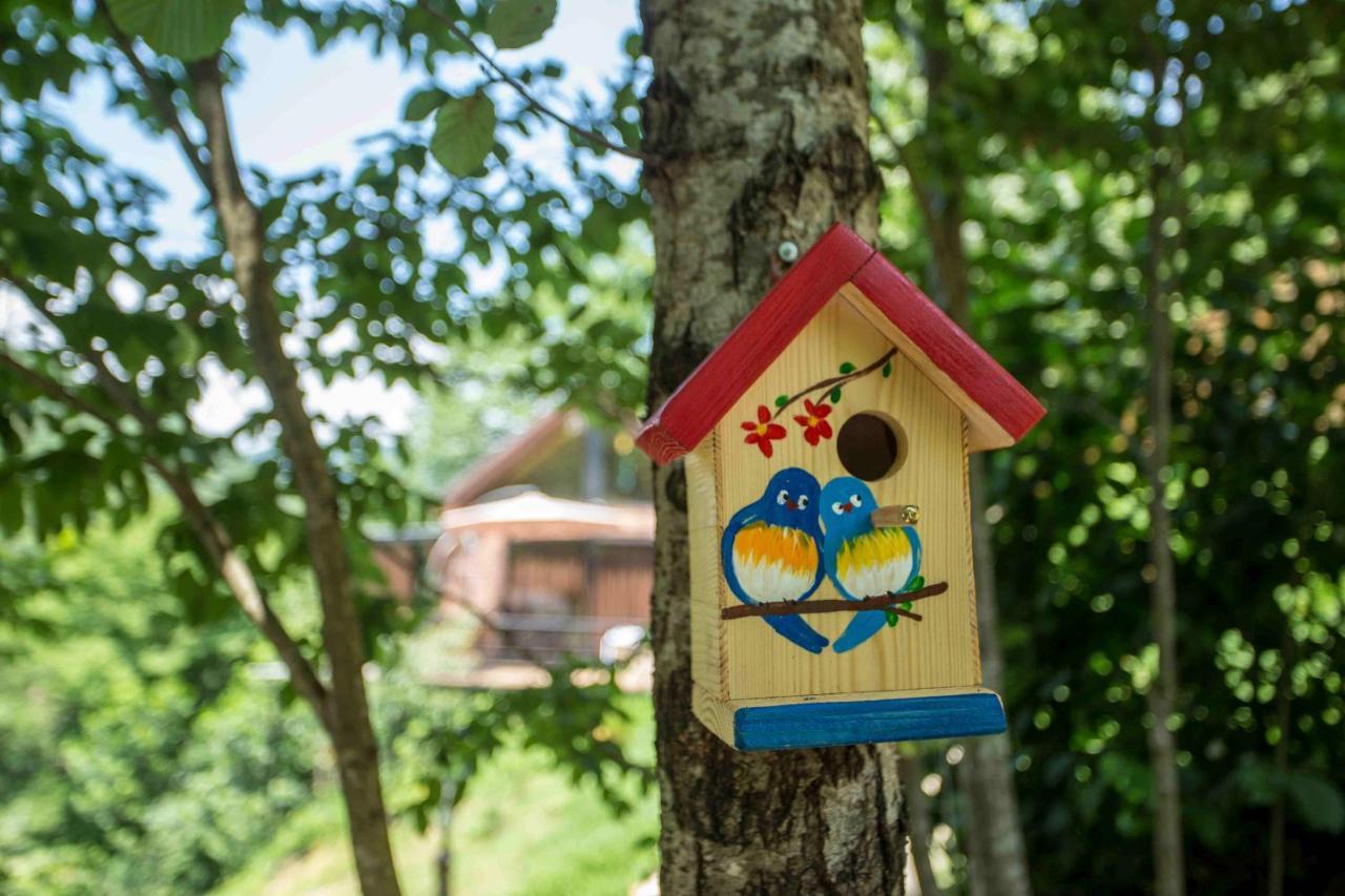 Villa Woodpecker Ვუდფექერი à Batoumi Extérieur photo