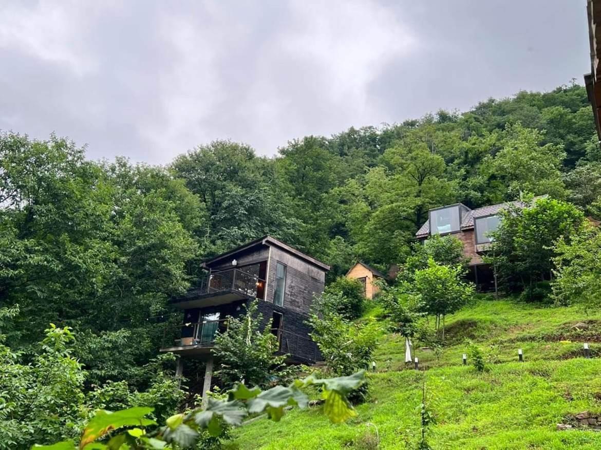 Villa Woodpecker Ვუდფექერი à Batoumi Extérieur photo